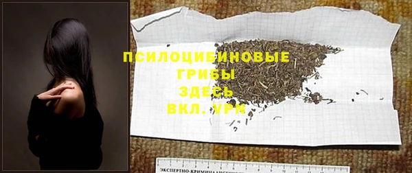 прущие грибы Касимов