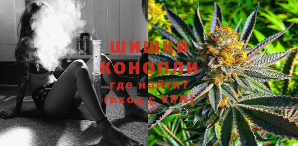прущие грибы Касимов