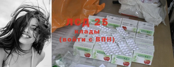 прущие грибы Касимов