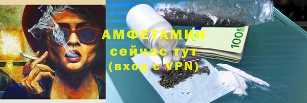 прущие грибы Касимов